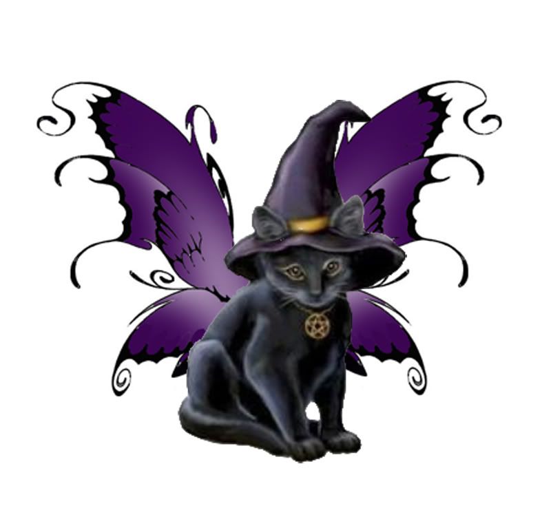 Fairy Witch Cat Pictures, Images and Photos