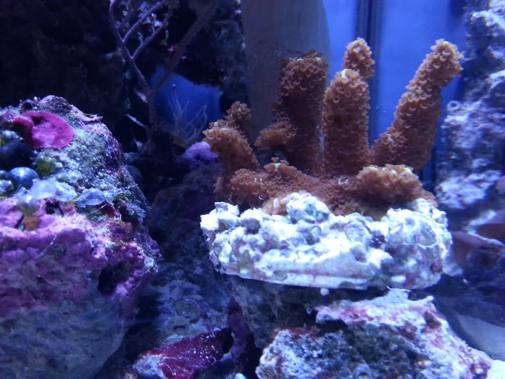 20130623_213841_zpsadf8a97e.jpg