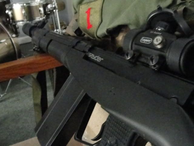 Posted Image