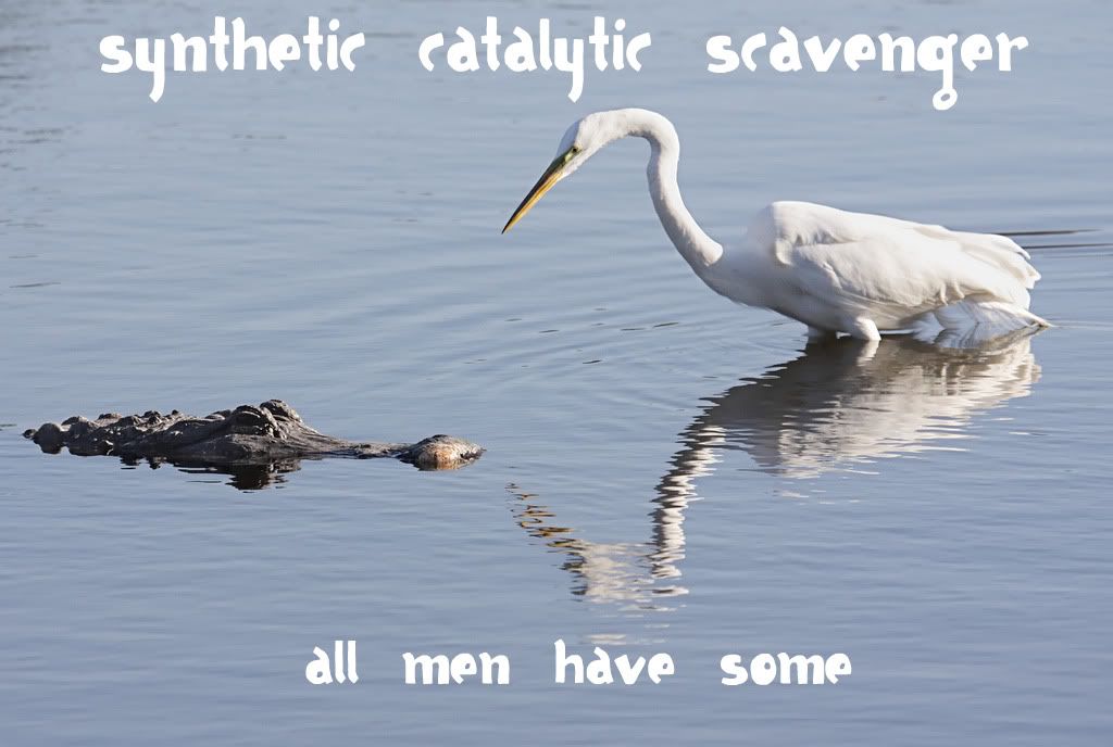 scav.jpg