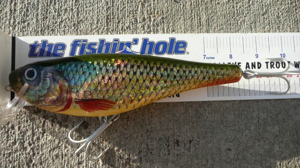 CHECK OUT THIS PIKE LURE! How to fish the Salmo Fatso when Pike