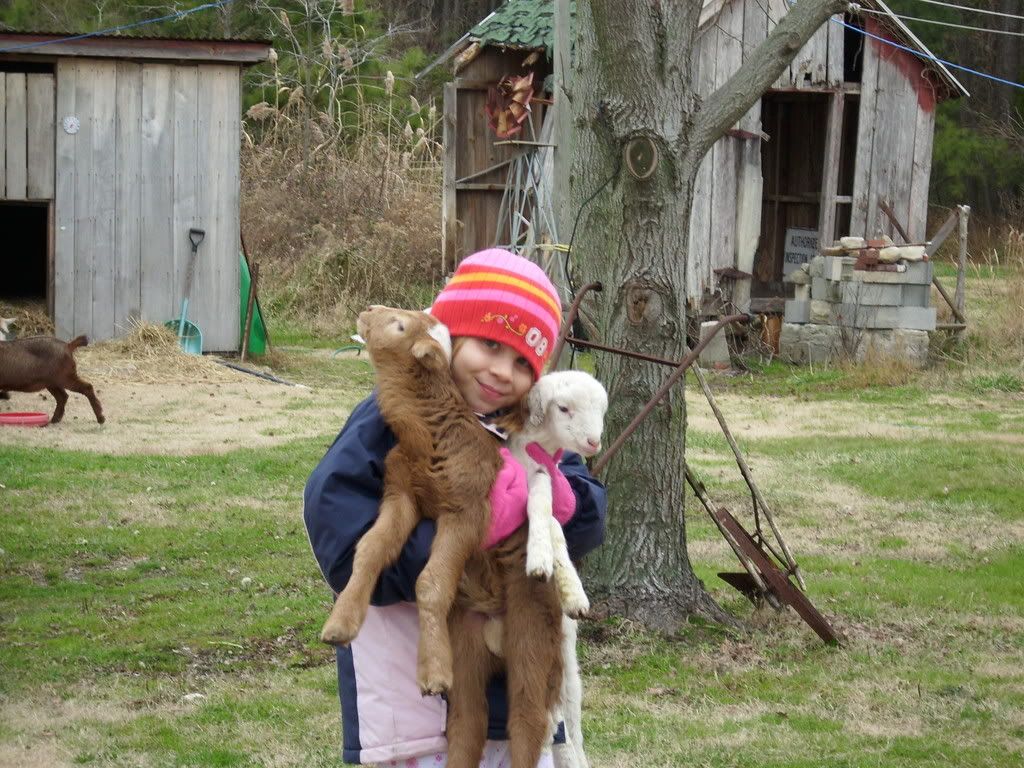 please keep my 9 year old in your prays - Goats