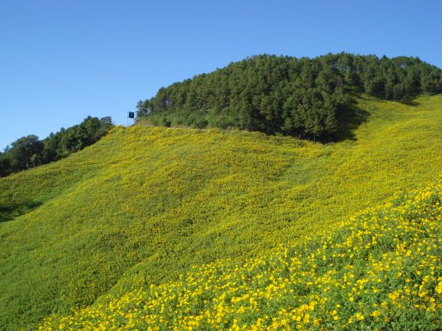 DSC00840.jpg