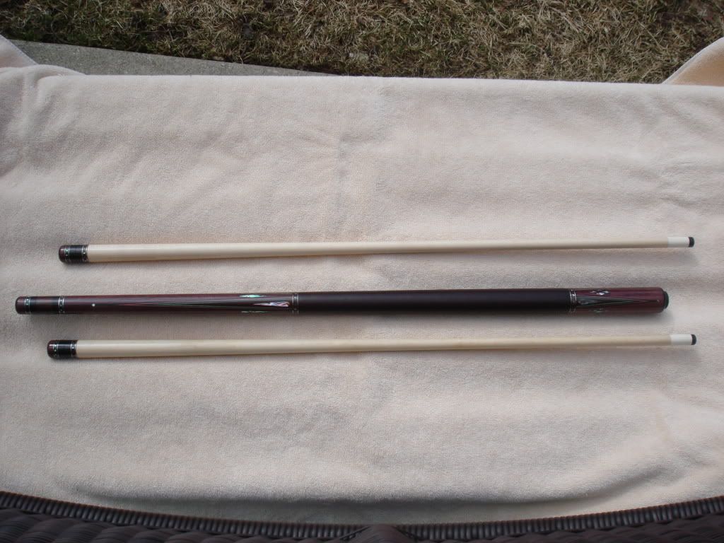 Poolsticks009.jpg