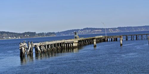 From shipping pier to bird roost photo Chambers-Bay-Spring-2013-21_zpsc469bb31.jpg