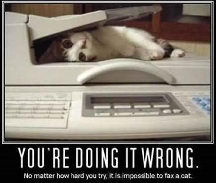 Fax Cat