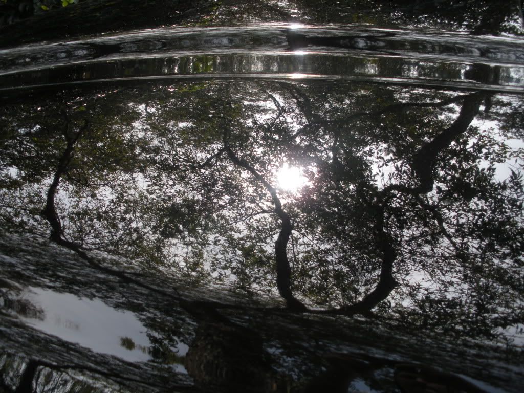 DSCN2588.jpg