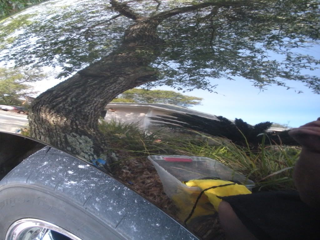 DSCN2591.jpg