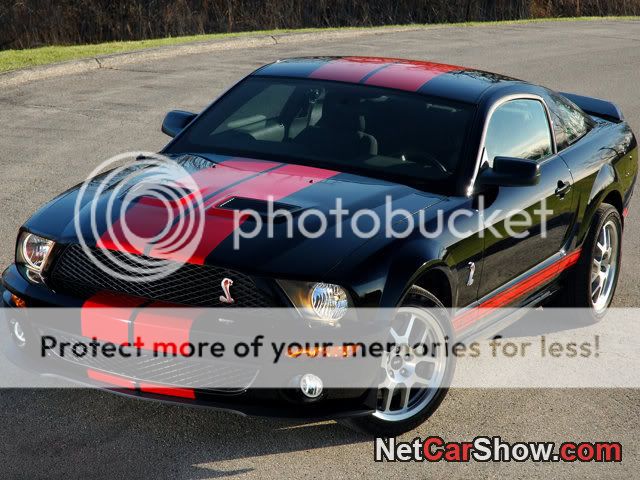 Myspace layouts ford mustangs #8
