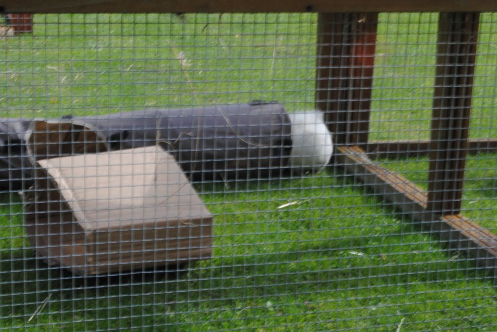 DSC_0975.jpg